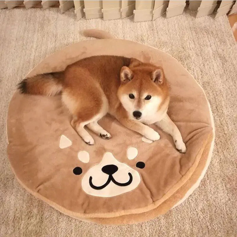 Comfy cute bed for your furry best friend