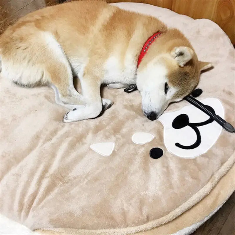 Comfy cute bed for your furry best friend
