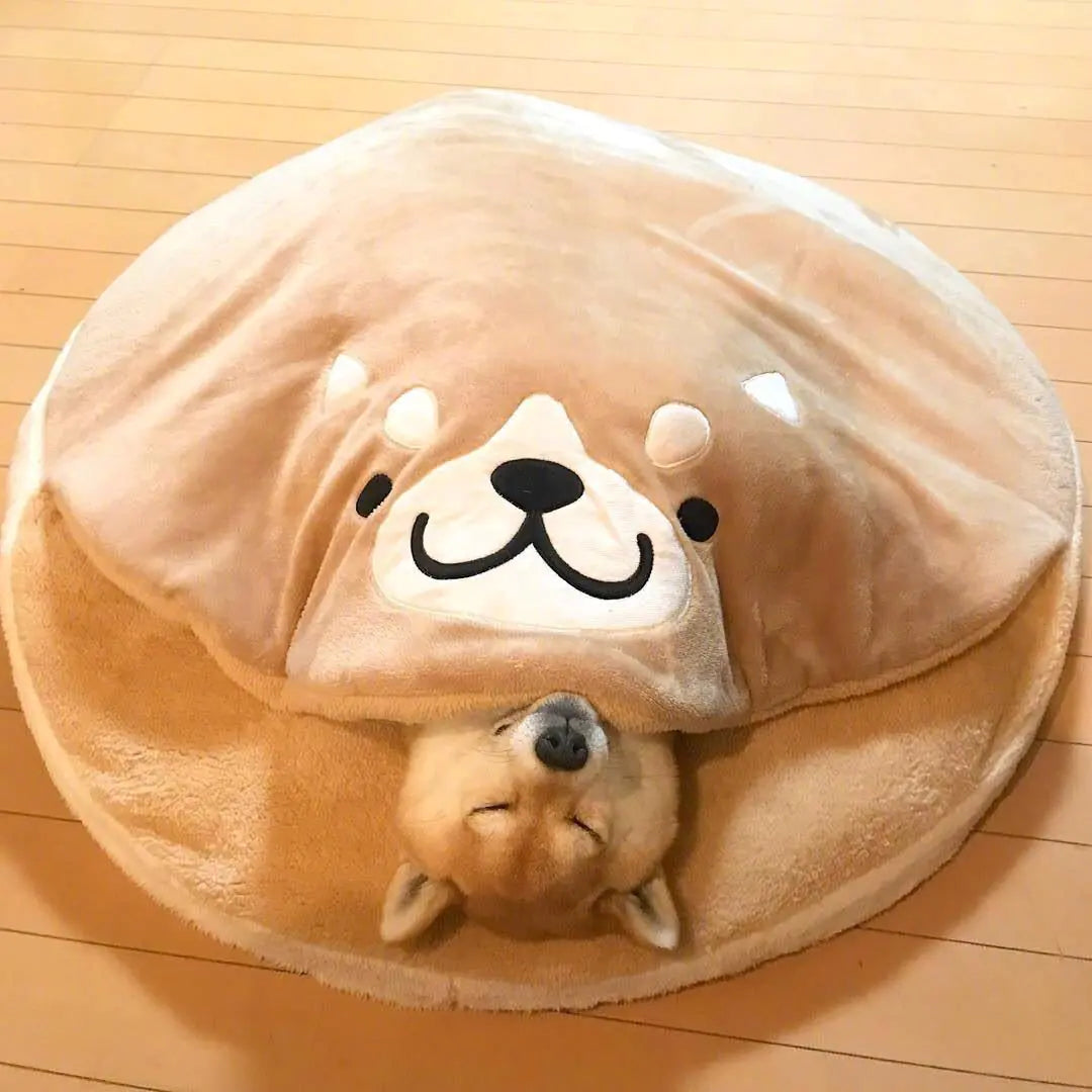 Comfy cute bed for your furry best friend