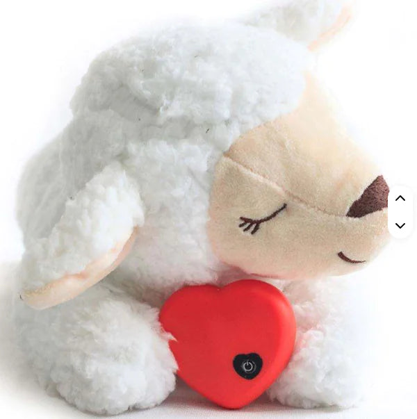 Heartbeat Box Pet Anxiety Relief Sleep Toy